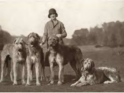 Patsy Rank with four hounds