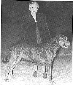 Margaret Harrison with Rory of Kihone