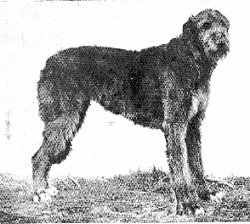 Sgeolan of Ouborough