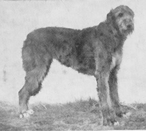 Sgeolan of Ouborough