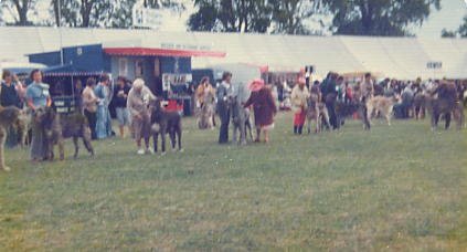 Windsor 1977