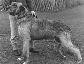 Sulhamstead Branwen Myles