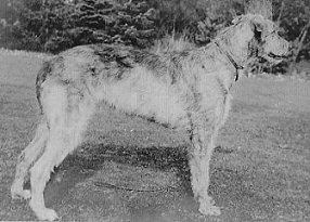 Sulhamstead Krona