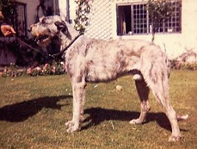 Sulhamstead Mac