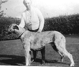 Sulhamstead Magnum