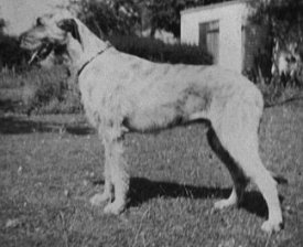 Sulhamstead Maigret