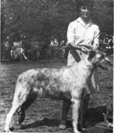 Sulhamstead Marlene
