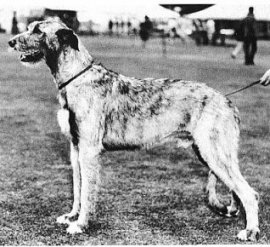 Sulhamstead Max