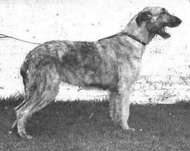 Sulhamstead Mica