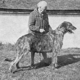 Sulhamstead Minstrel