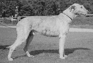 Sulhamstead Remus