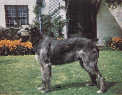 Sulhamstead Myth