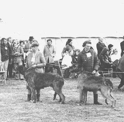 WELKS 1973